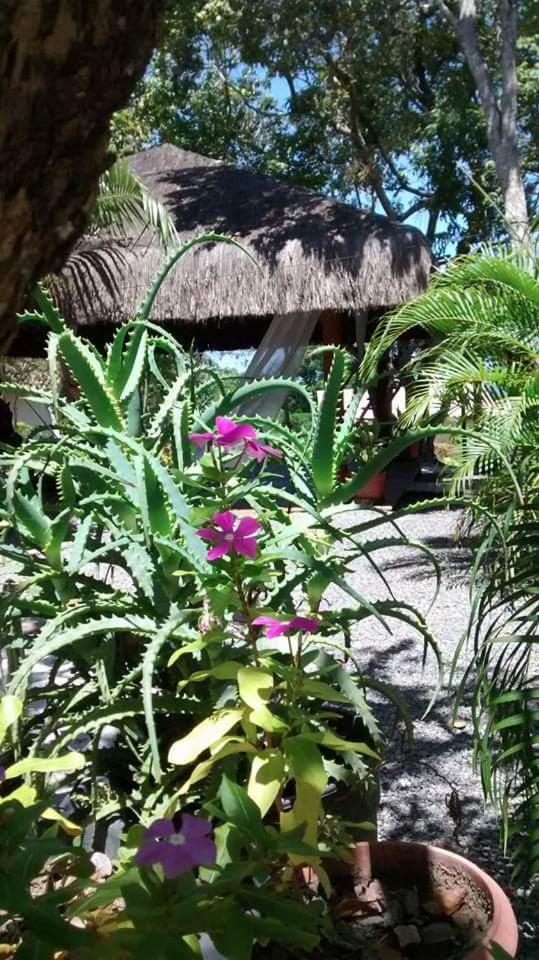 Chale "Oasis" Villa Praia do Forte Dış mekan fotoğraf