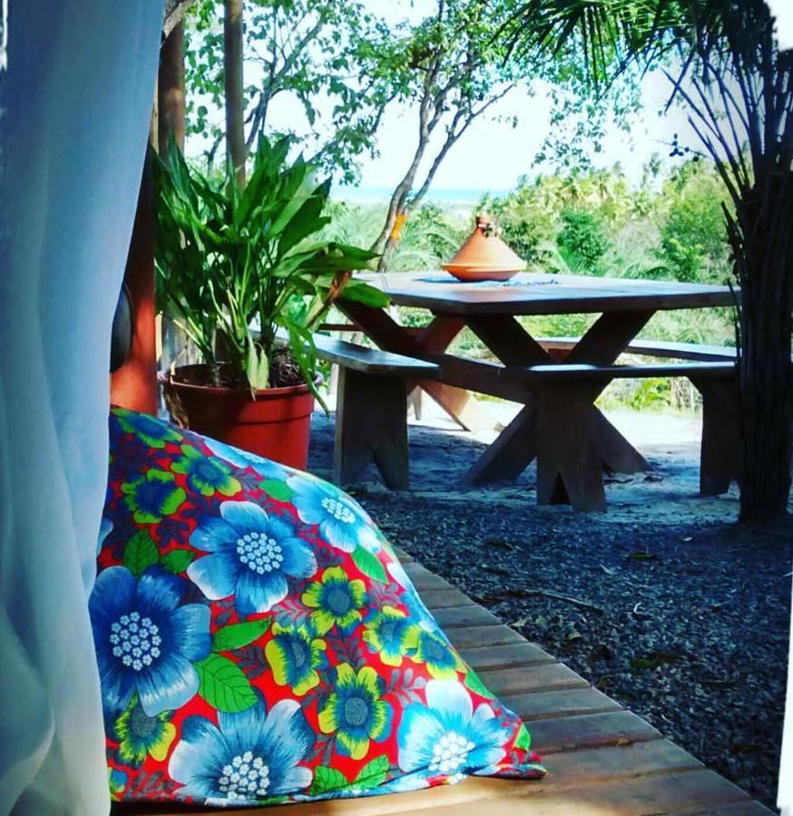Chale "Oasis" Villa Praia do Forte Dış mekan fotoğraf