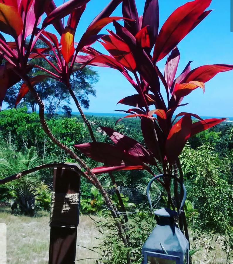 Chale "Oasis" Villa Praia do Forte Dış mekan fotoğraf